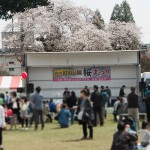 第27回沼田公園桜まつりが開催されました。
